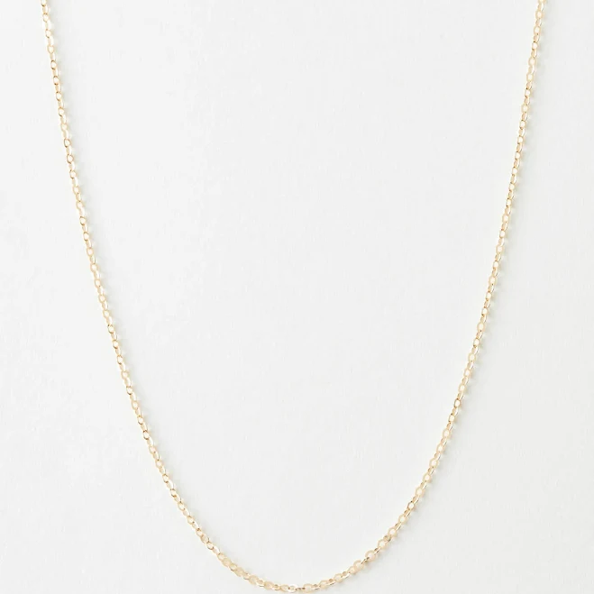 accessory 14K Gold Fill Dainty Chain GLDN $48