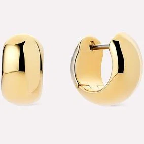 accessory Ana Luisa Giulia Bold Hoop Earrings PacSun $65
