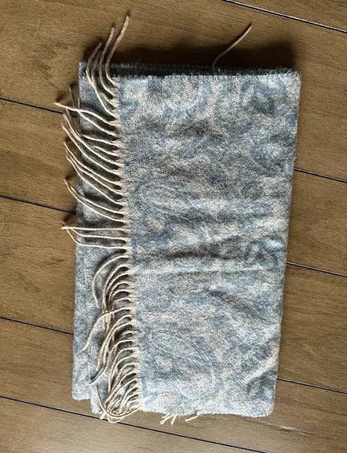 accessory Elegant Scarf With A Blue And Cream Paisley Pattern. Features Fringe eBay $11