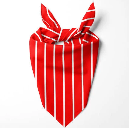 accessory Red & white stripes bandana S Pawer to the People $12.95