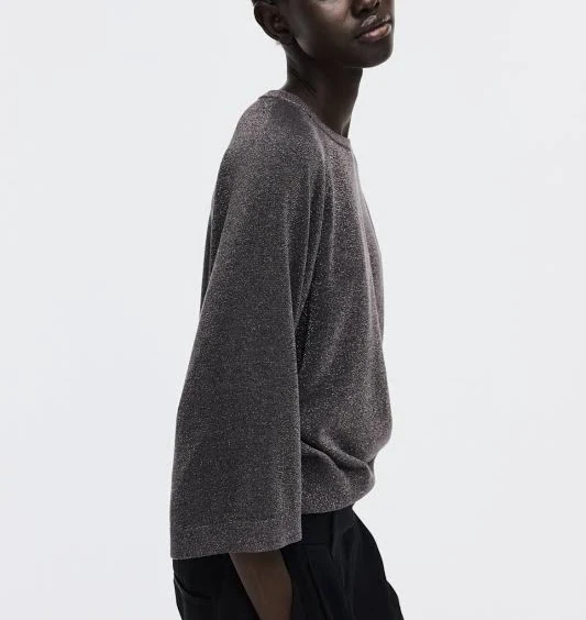 top H&M Ladies Fine-knit Glittery Top H&M $17.99